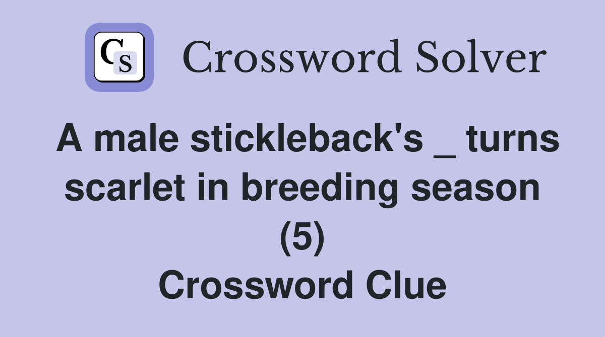 A male stickleback's _ turns scarlet in breeding season (5) Crossword Clue Answers Crossword